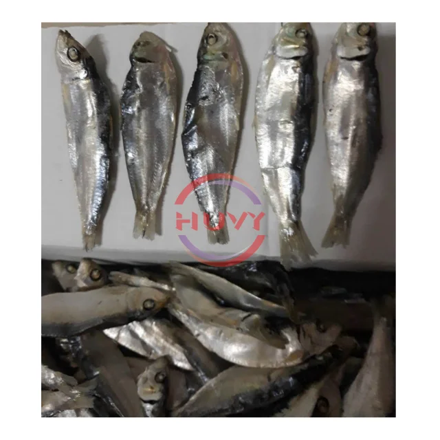 Wholesale Indian Mackerel Nature Fast Delivery Herring Fish Dry Herring Sea Food Factory Price OEM Service Made In Vietnam