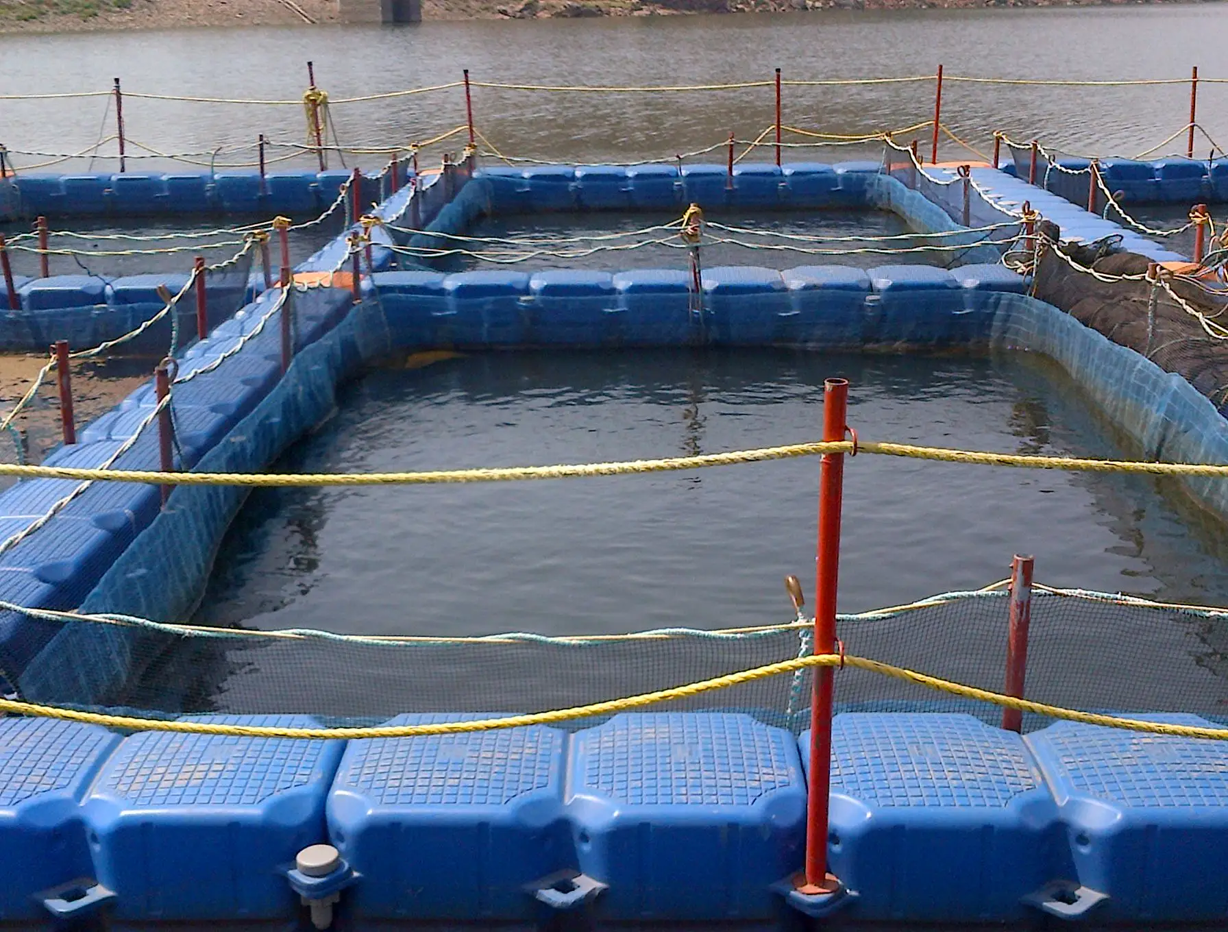 Аквакультура морской окус-морской лещ плавающая сетчатая клетка/HDPE Aqua Floating Fish Cage System