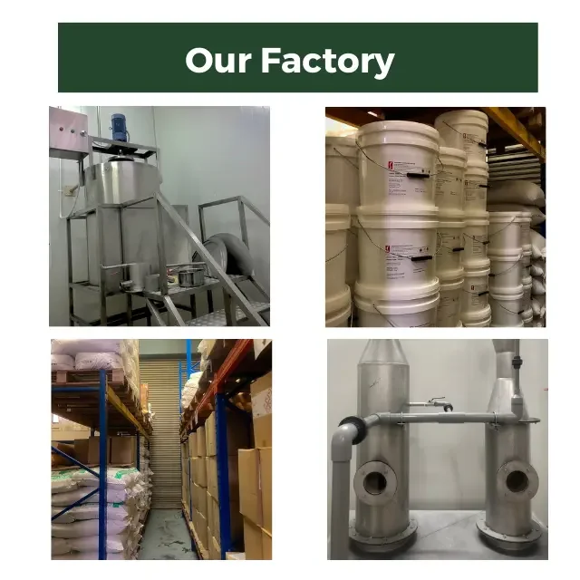 100% Original Halal Blended Chicken Seasoning Powder For Instant Noodle The Ultimate Seasoning Solution for Busy Home Cooks