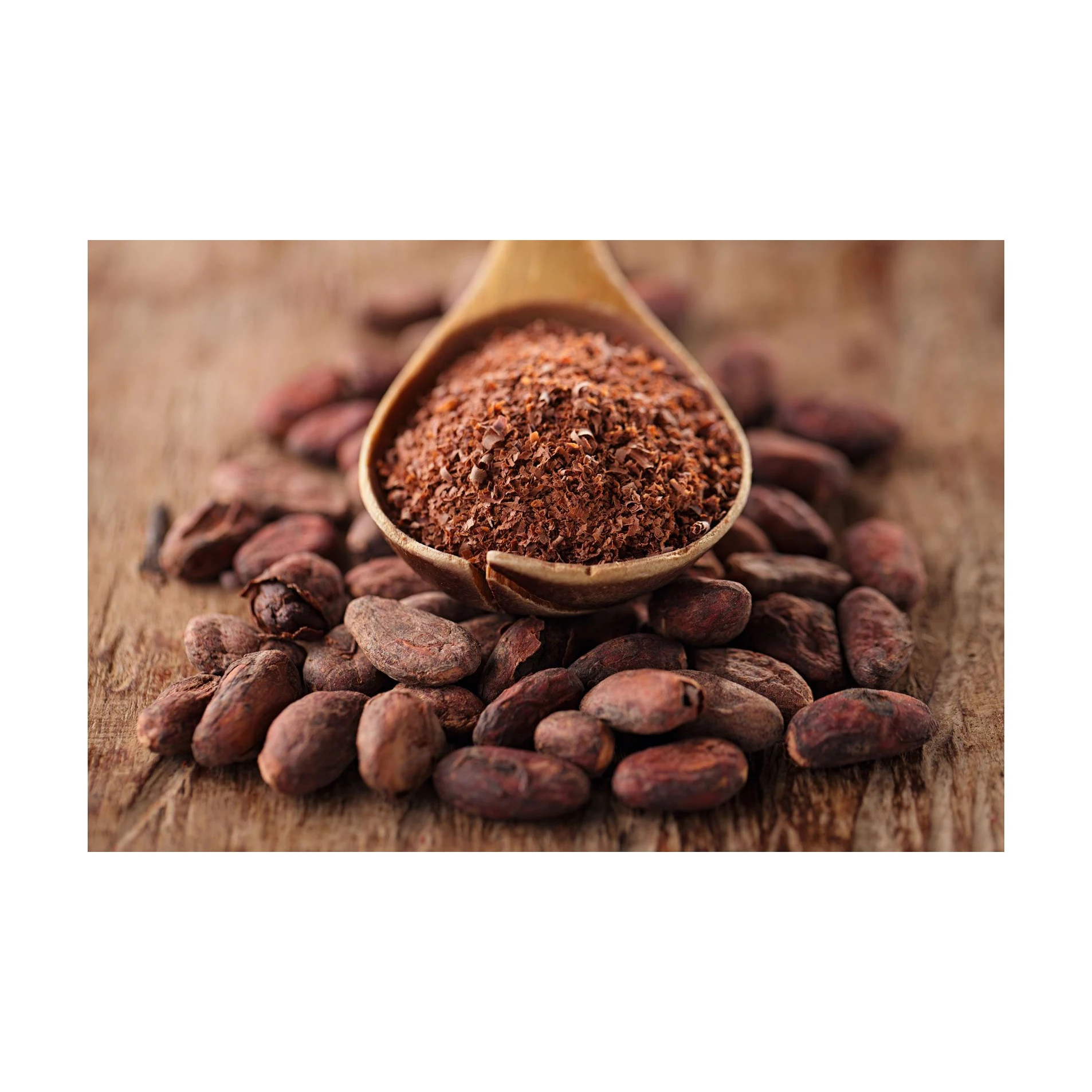 Sun Dried Raw Cocoa Beans | Cocoa Beans Suppliers | Manufacturers | Wholesalers