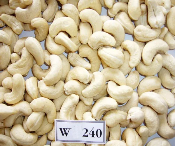 High Quality W320 W240 Pure Natural Import Plump Particles Roasted Raw Organic Cashew Nuts