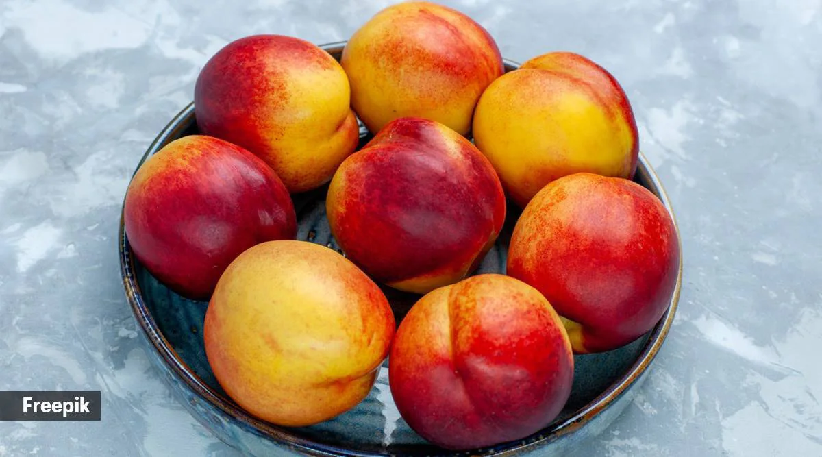 Fresh peaches natural fruits no chemicals product of Uzbekistan great quality peaches
