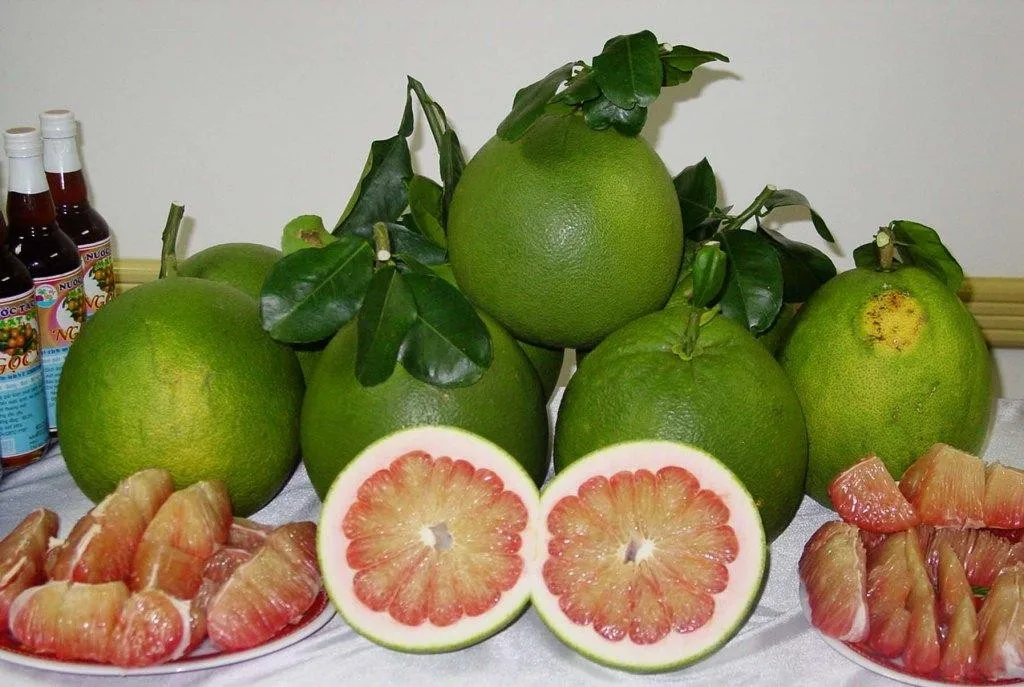 OEM ODM Good Natural Smell Fresh Organic Delicious Pink Meat Green Skin Pomelo With Long Shelf Life From Vietnam