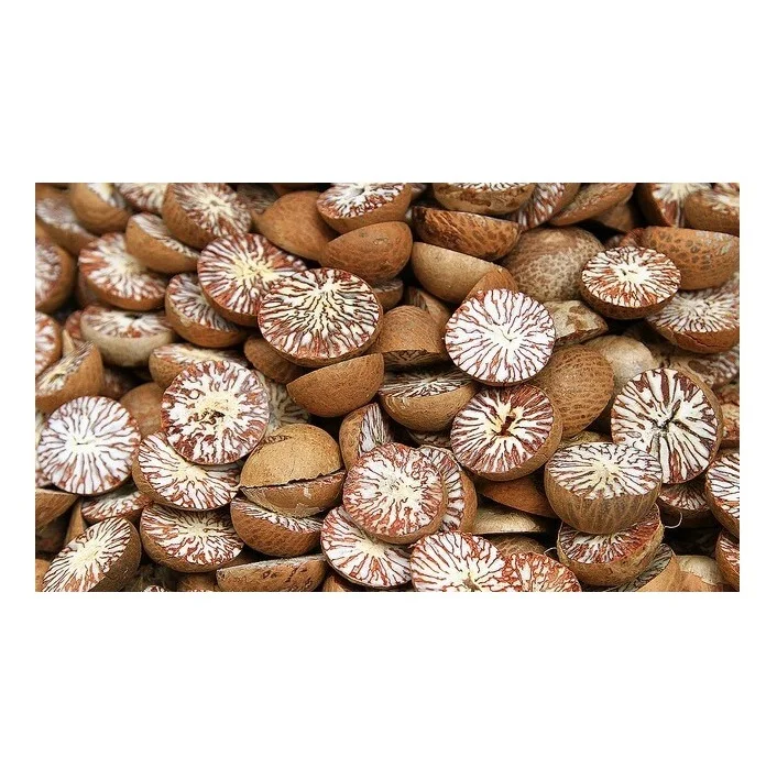 Betel nuts betel areca nut wholesale