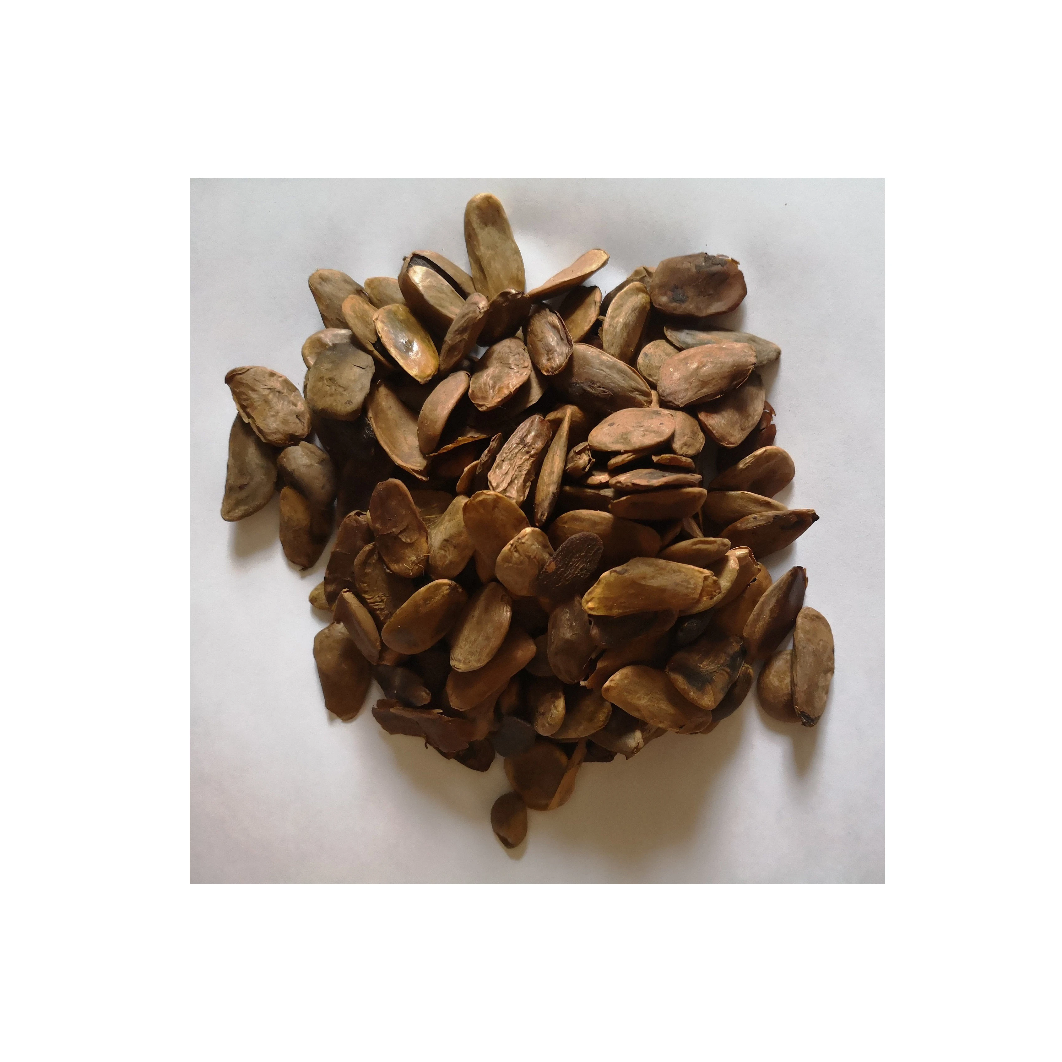 Best Price High Quality Picralima Nitida Akuamma Seed Extract Other Agriculture Products