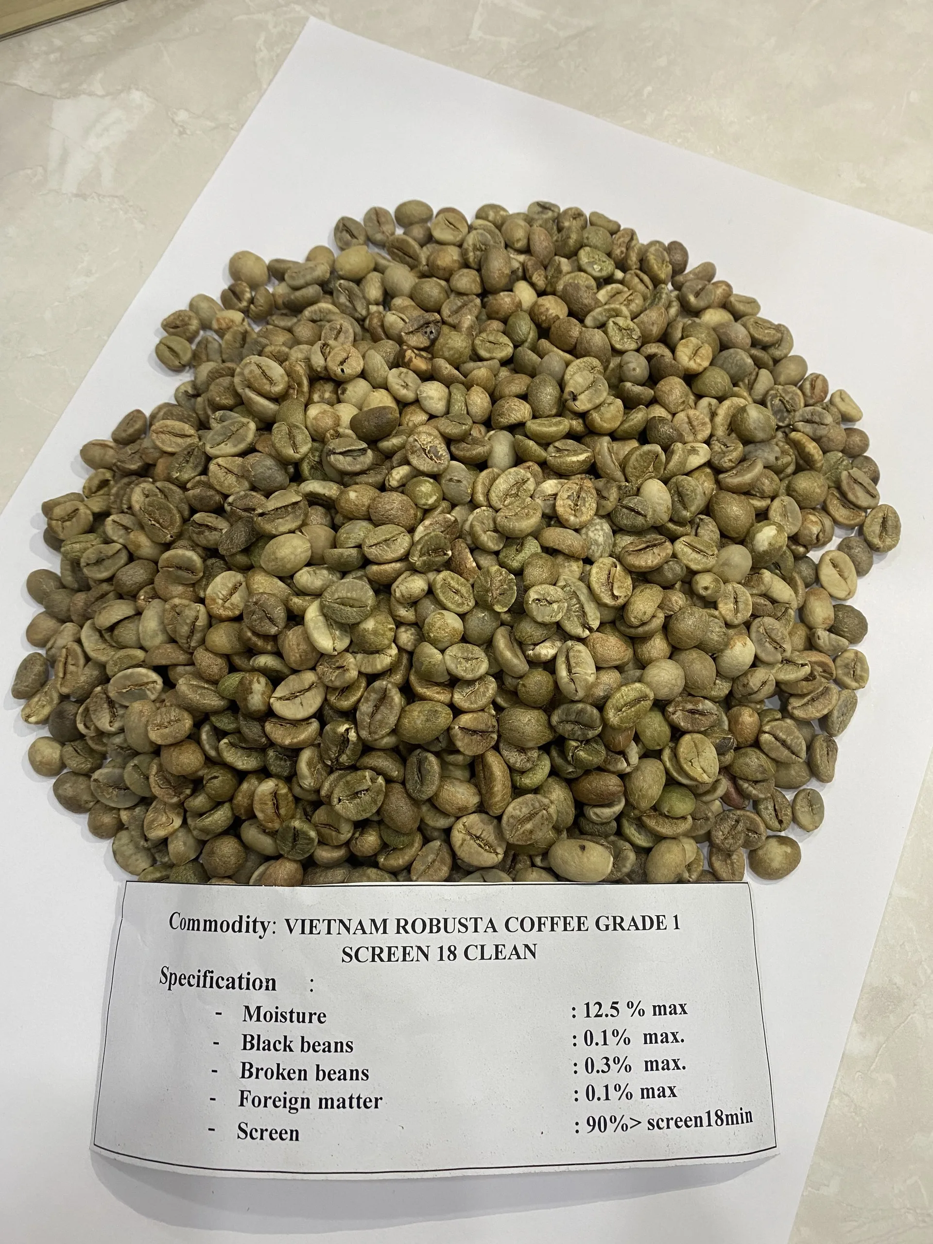 Manufacture Wholesale Dried Natural Robusta Green Coffee Beans Vietnam  on sale 2023 Whatsapp:+84-975807426 Lucy