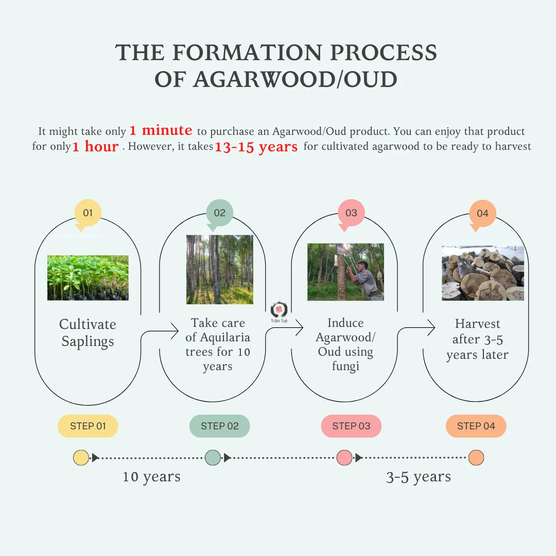 Top Quality Vietnamese Luxury Oud Agarwood Agarbatti Bukhoor Bakhoor Chips natural fragrance making Incense Stick