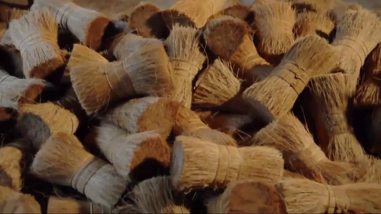 Cehap Кокосовая щетина для щетки