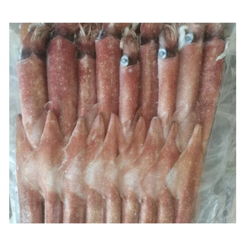 Bulk Stock Available Of Frozen Whole Loligo Squid (Seafood) At Wholesale Prices