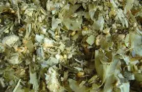 VIETNAM CORN SILAGE/MAIZE SILAGE WITH MOLASSES - HIGH QUALITY AND COMPETITIVE PRICE / Whatsapp +84902679738 Ms Jolie