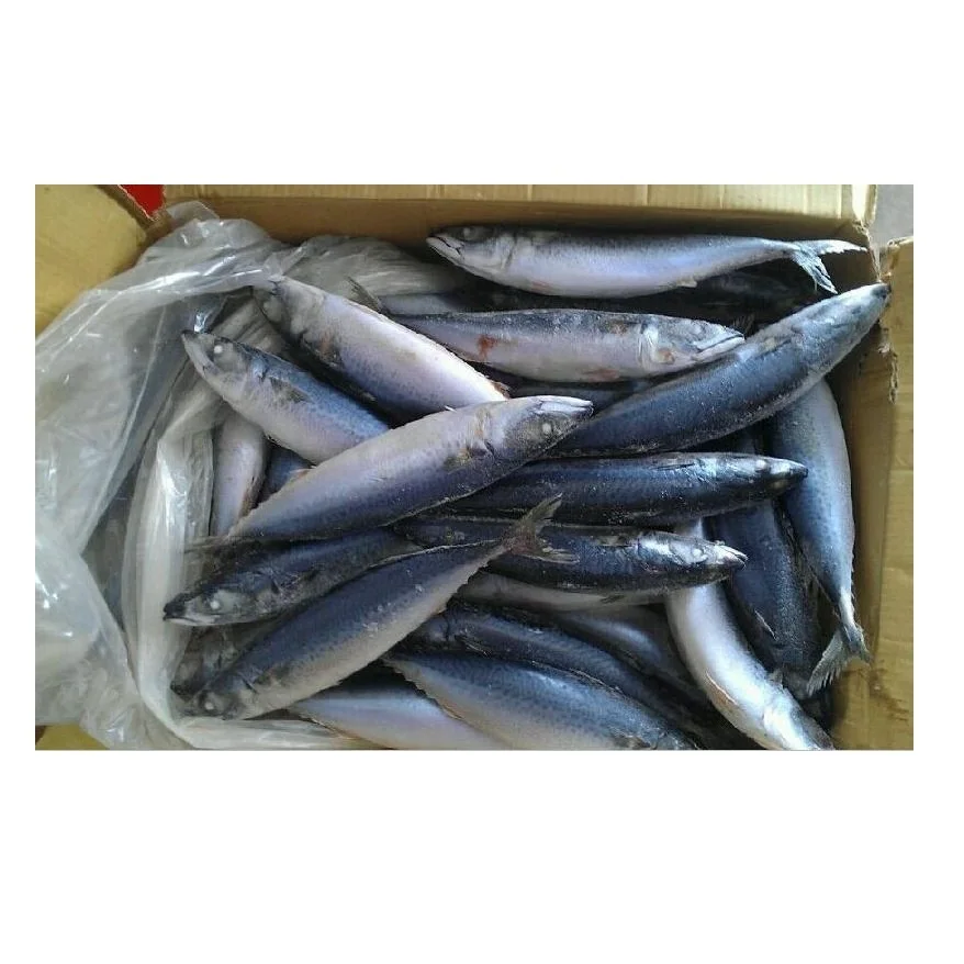 Wholesale Cheap Price Best Quality Atlantic Mackerel fish For Sale Worldwide Exports