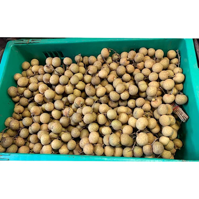 Горячая Распродажа, лучшее качество, сладкий Лонган из Таиланда