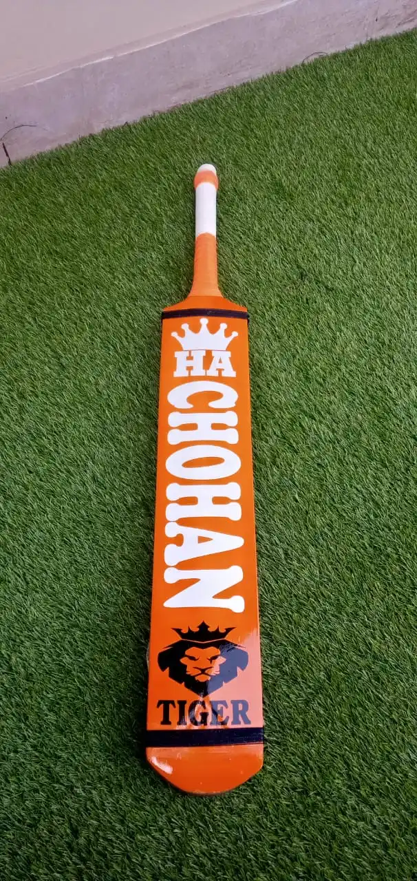 Best Kashmir Willow Cricket Bat