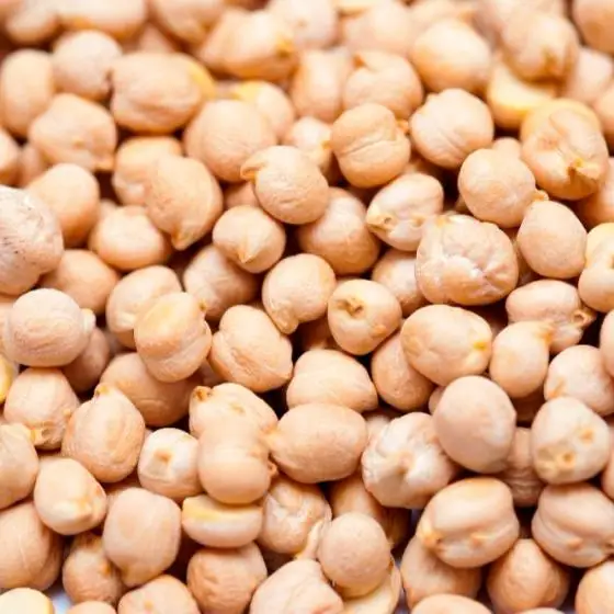 Hot Sale Good Manufactured Dried Organic Kabuli Chickpea