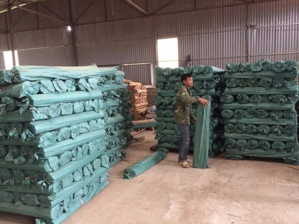 Wholesale Vietnam Eucalyptus Wooden Broom Handle Mop Stick 120cm Length Pvc Coated for Household cleaning