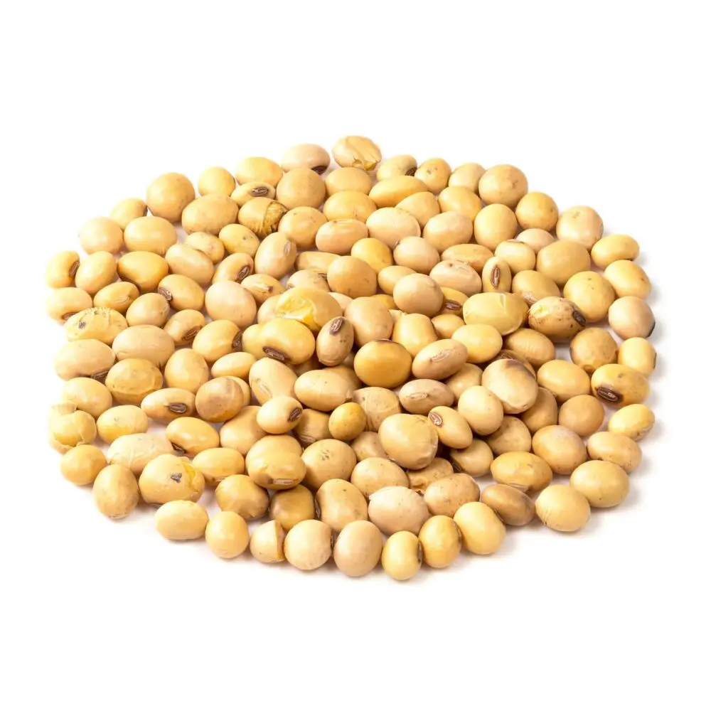 Good Quality Soya Bean / Soybeans Seeds Soy Bulk Customized Package Organic Dried High Protein