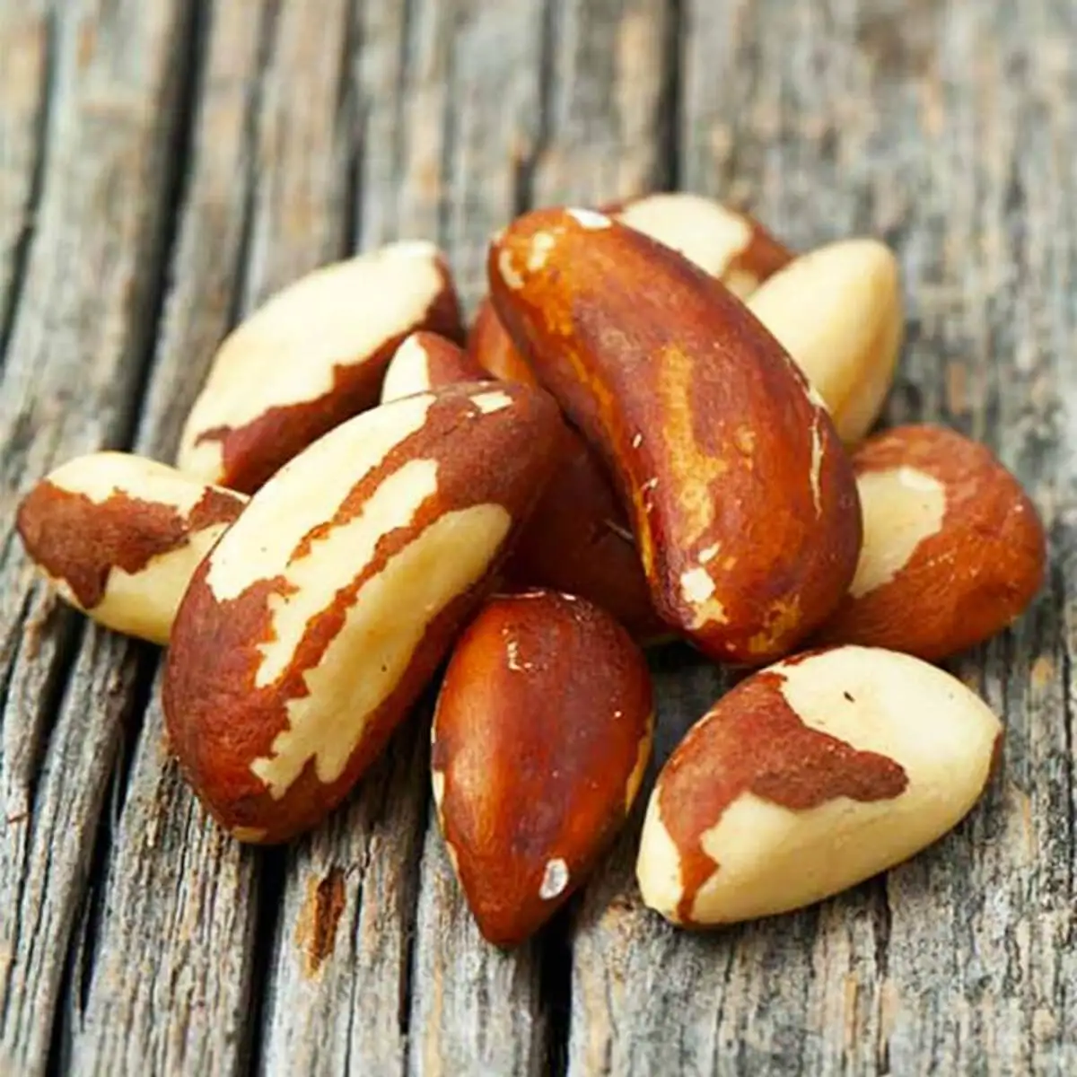 High Quality Brazil Nuts Wholesale Natural Peru 100 Pure Style Packaging Organic Boxes Origin Type Nut Dried