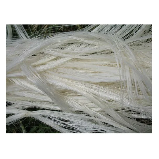 Sisal Fiber Natural Sisal Fiber In Perfect Quality For Sisal Cloth