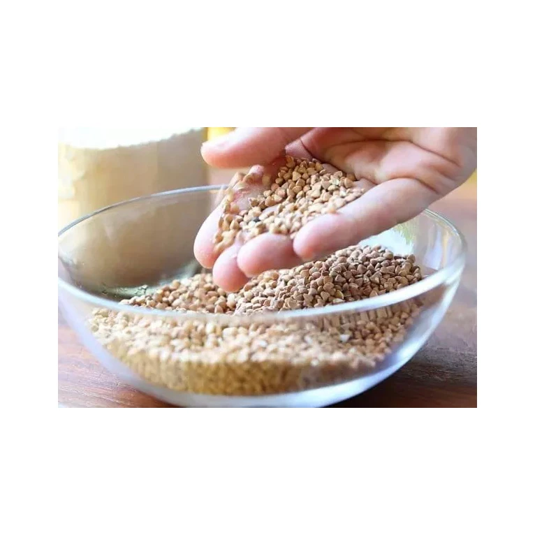 Лучшее качество оптом жареная гречка для продажи по низкой