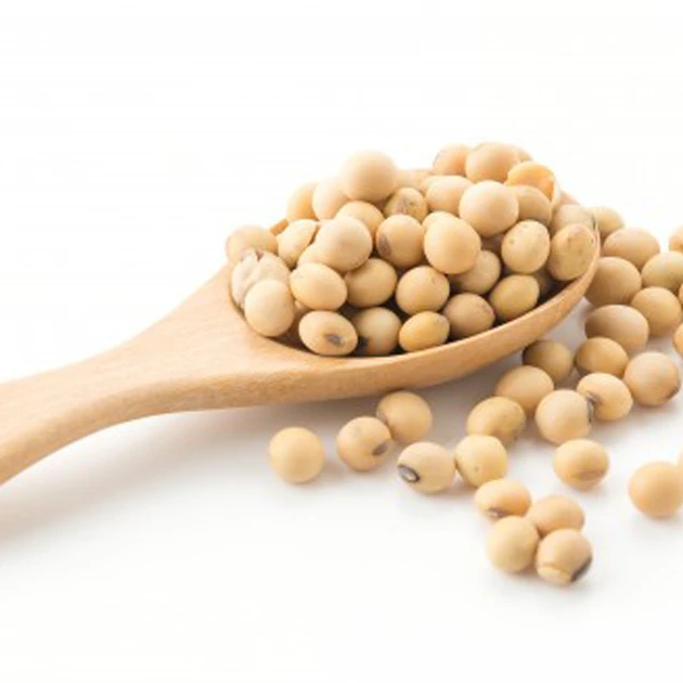 Good Quality Soyabean / Soybeans Seeds / Soy bean for Sale