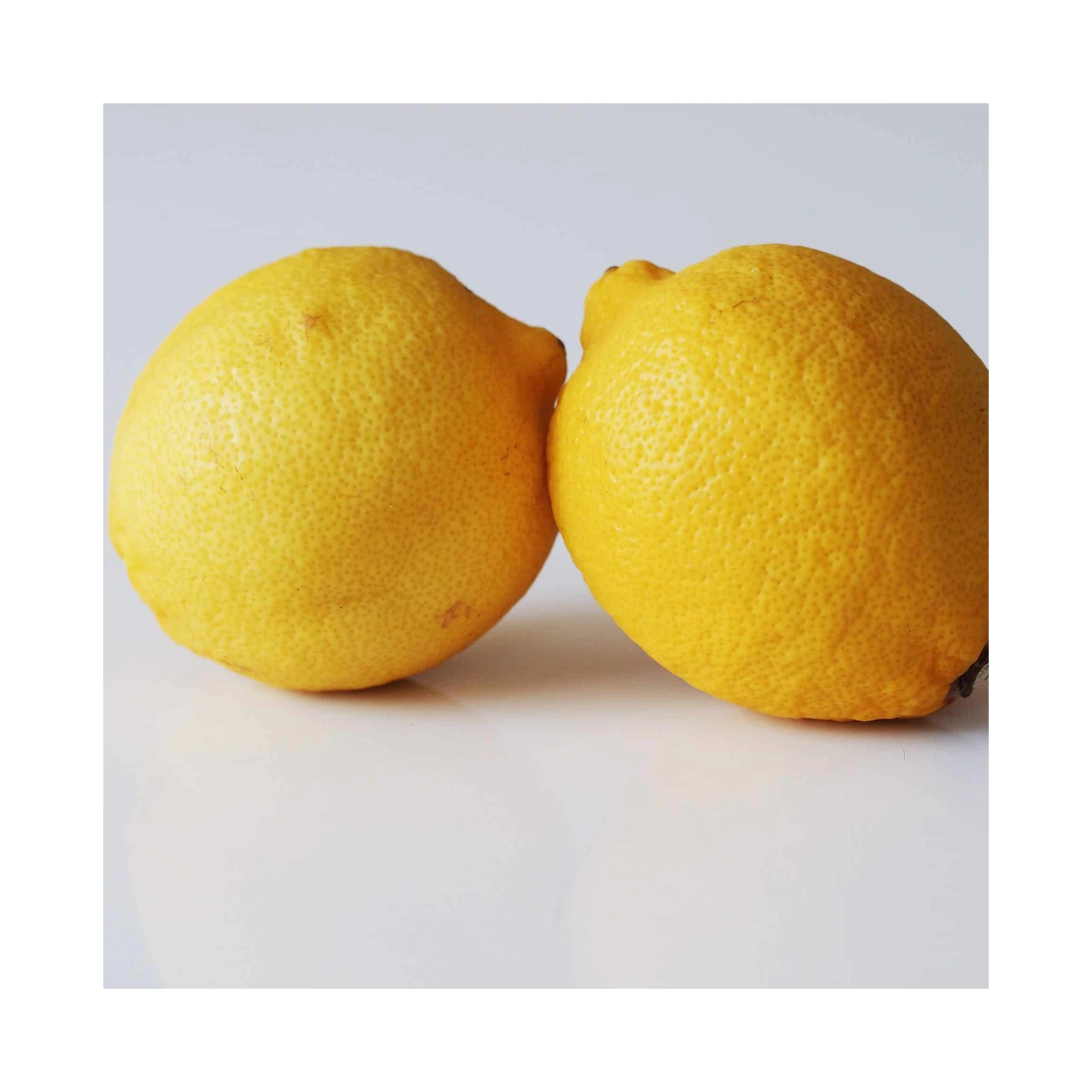 High-Quality Wholesale Fresh Lemon Fresh Fruit Organic Lemon Direct Selling Available At Reasonable Prices