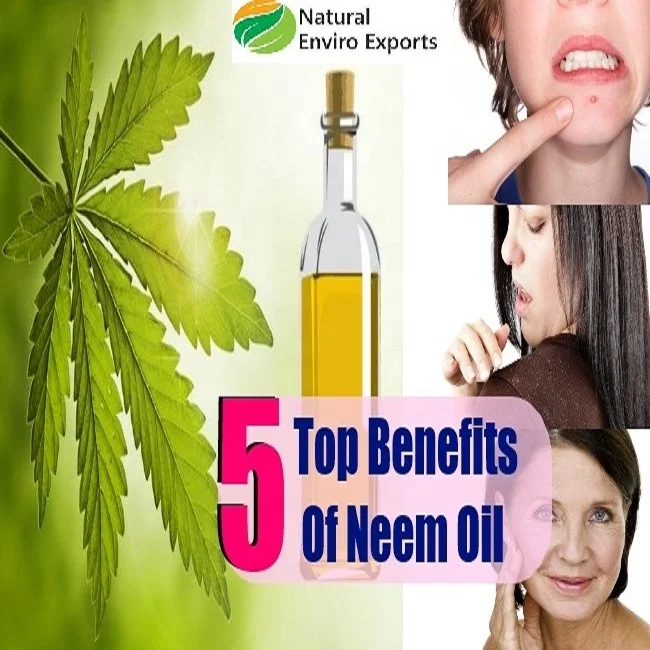 Organic Neem Seed Oil Extracted by Cold Press Method used for Agricultural and Health Care Purposes; Neem Seed Oil at Low Cost