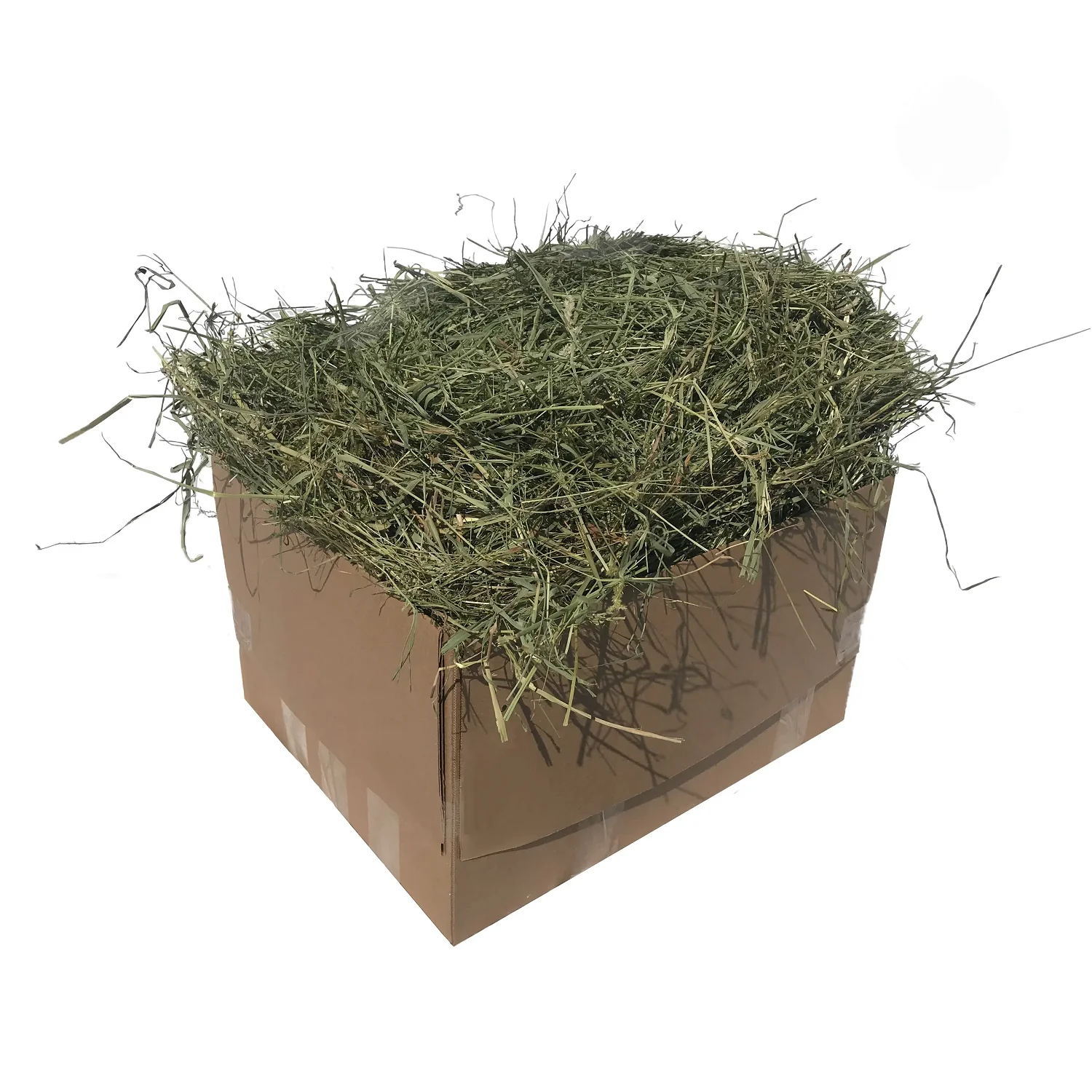Quality Timothy Hay Quality Alfalfa Hay/ Timothy Hay/ Lucerne Clover in Bales
