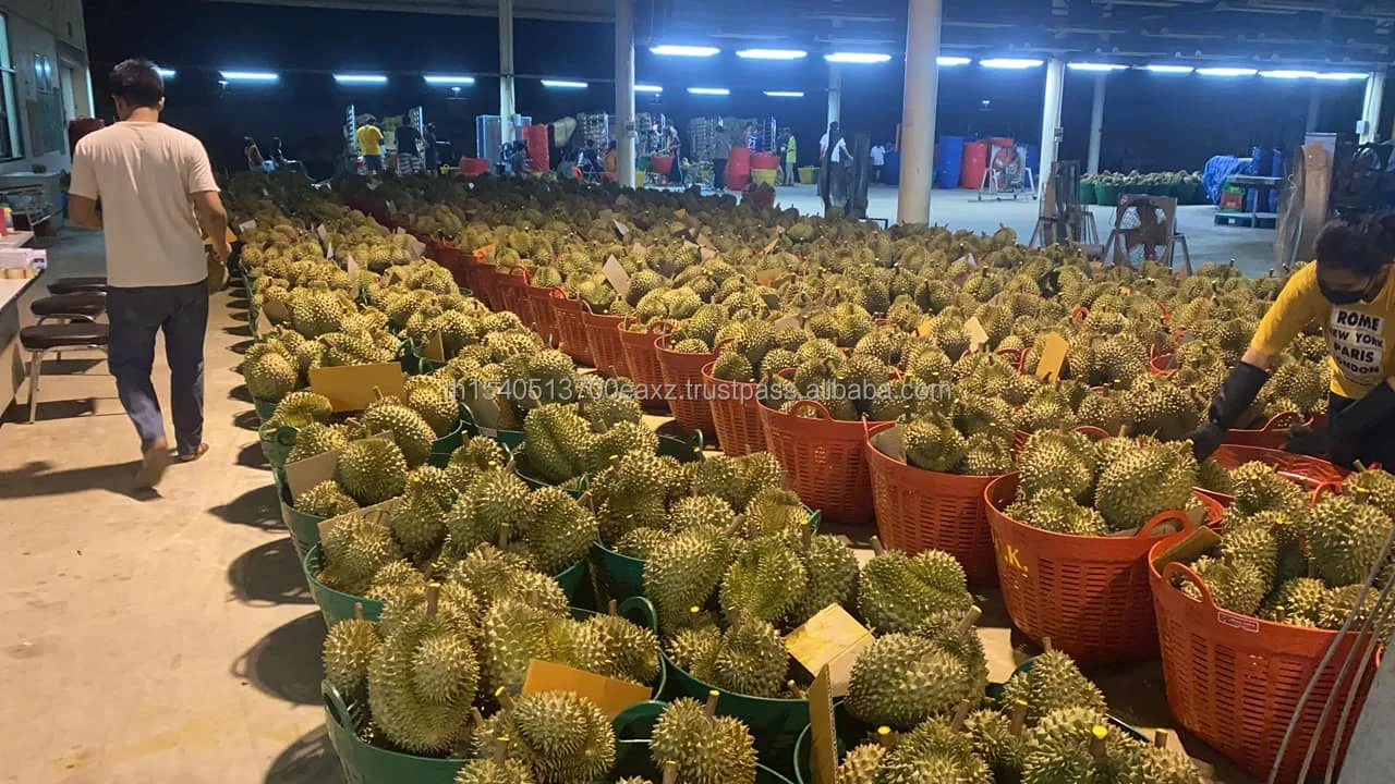 Durians Monthong  Best Seller