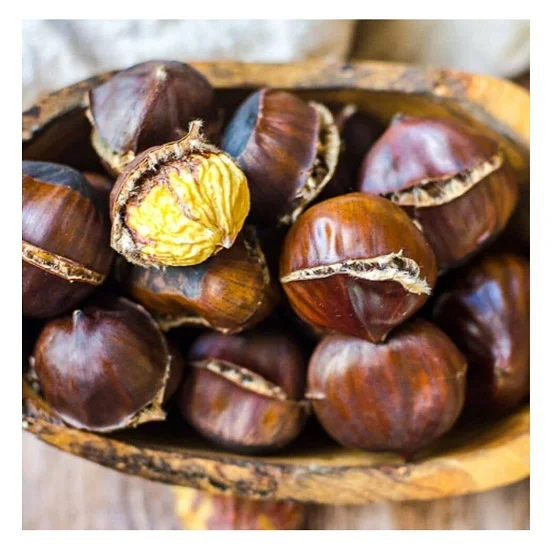 100% Top quality fresh chestnuts/organic chesnuts for Export