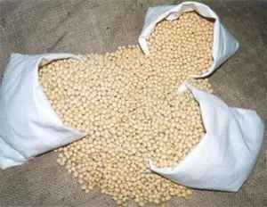 Wholesale Best Quality 50kg Bag Sprouting and Food Grade Dry Yellow Soybean Seed Non Gmo Soybeans