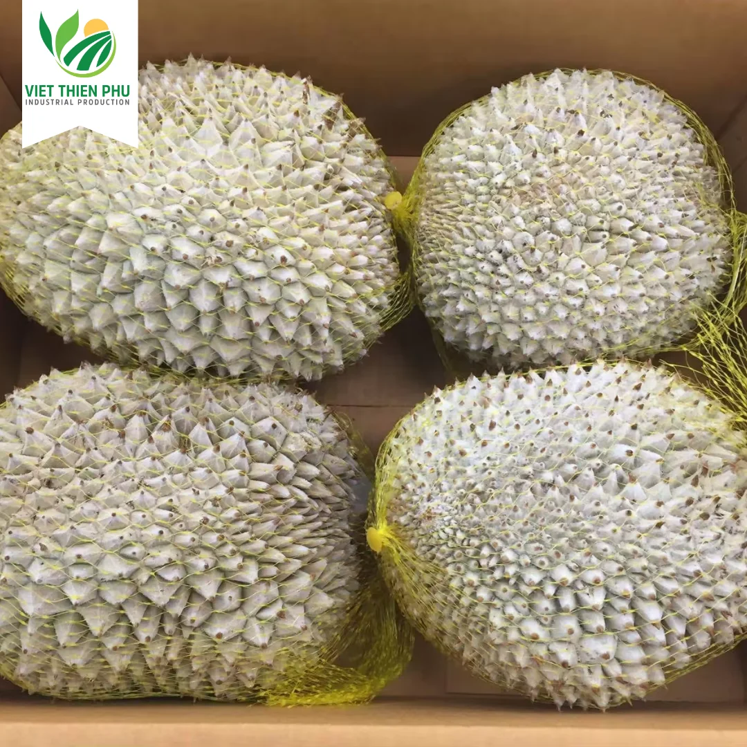 Frozen Durian Ri6/ Frozen Durian Monthong/ Fresh Durian From Viet Nam