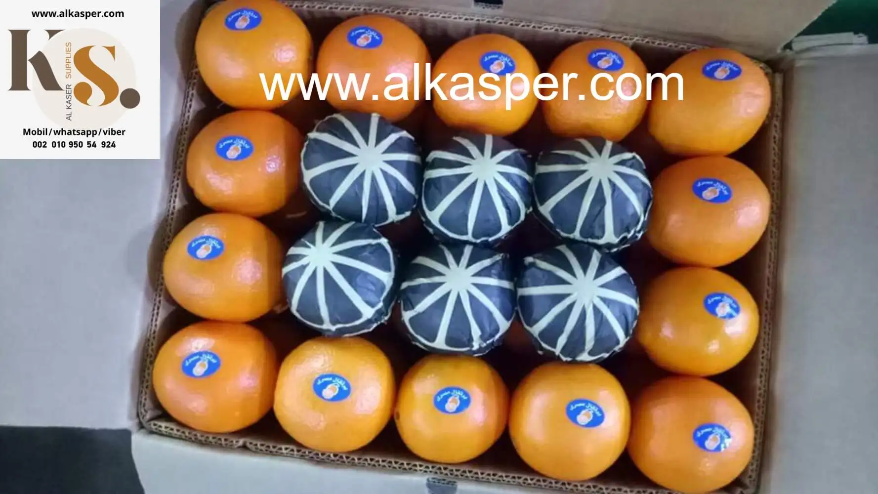 Fresh Navel Orange is now available for reservations wholesale (TOP QUALITY) Special Discount