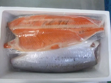 Organic Japanese Coho Salmon Fillet Light Salted Fresh Dried Whole Fish Preserved in Oil Organic Seasoned Seafood Frozen Dishes