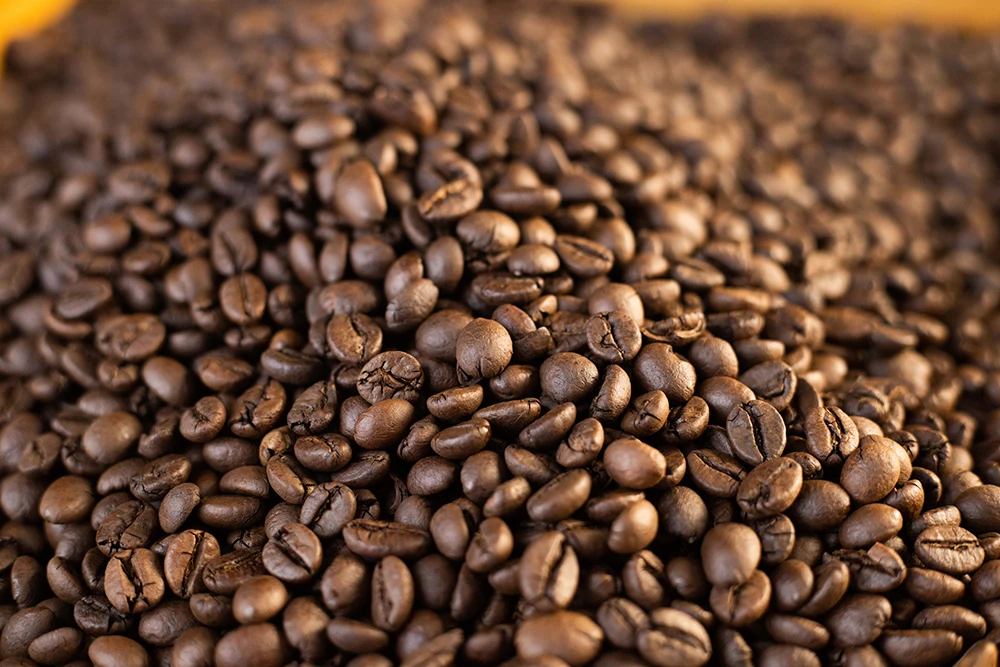 Wholesale Robusta Roasted Bean from Vietnam Coffee Bean Manufacturer Factory Price Premium Grade 16-18 60 Kg COMMON Cultivation