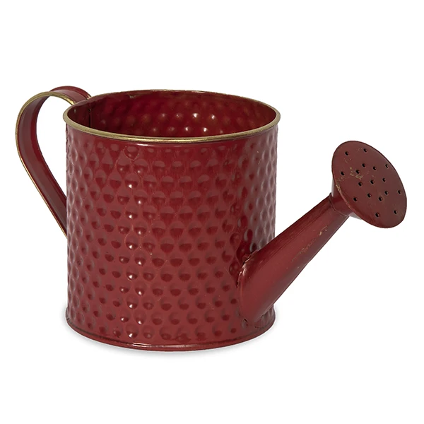Antique Galvanized Iron Planter Watering  Can  Wholesale Manufacturer Custom Garden Decor Plant Watering Can