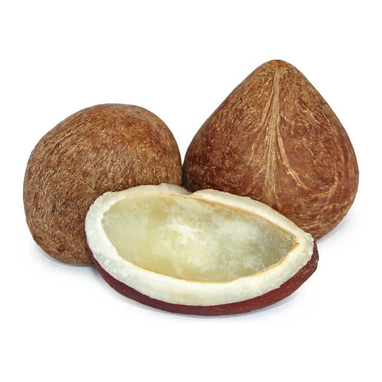 Good Quality Coconut Copra / Whole Dried Coconut