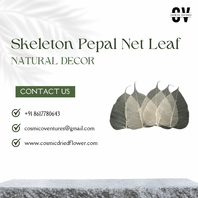High Quality Wholesale Natural Skeleton Pepal Net Leaf for Dried Flower Arrangement DIY Craft