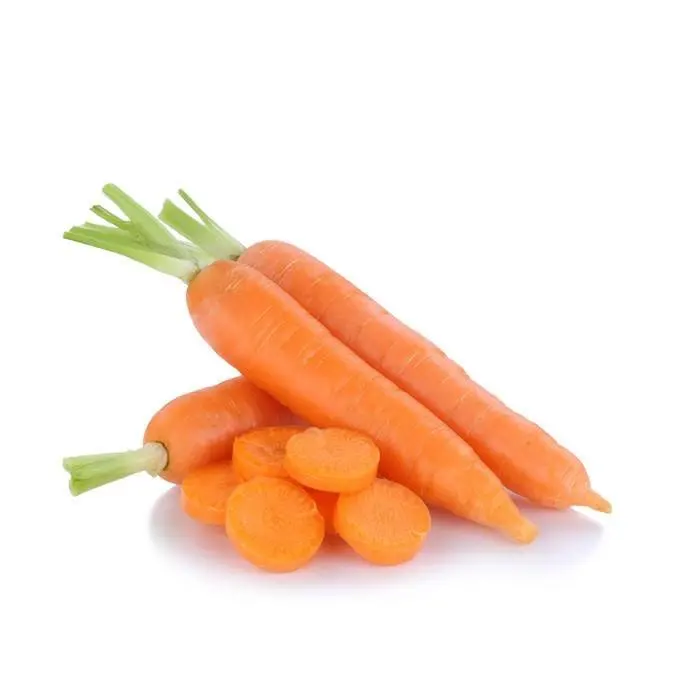 Экспорт Качественных свежих овощей, обычное выращивание, оранжевый натуральный сладкий свежий Морковь из Вьетнама