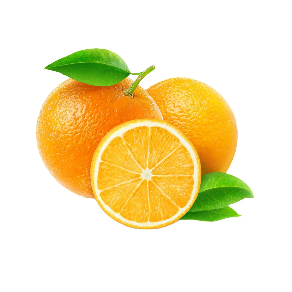 Organic and Healthy 100% Pure Natural Fresh Citrus Naval Oranges, Valencia Orange
