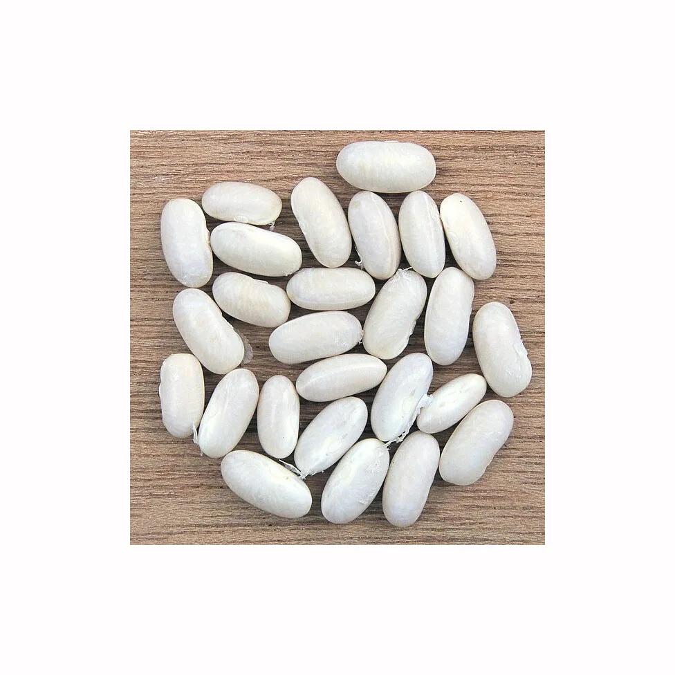 Highest Quality Natural Wholesale Top Grade White Kidney Beans For Exporting High Quality Large Big White Kidney Beans