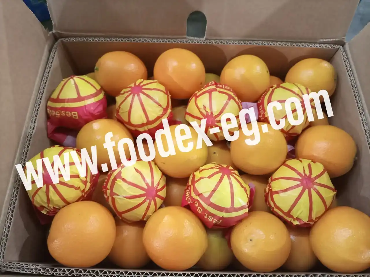 Valencia Египетский апельсин в Индию