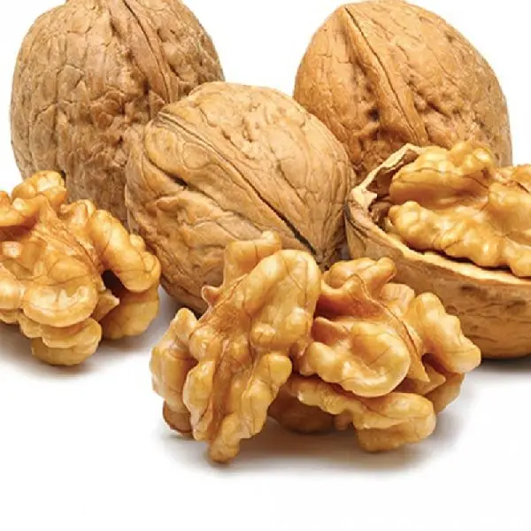 Walnut Kernels Extra light Grade Wholesale Natural Bulk Large Walnut nut from Uzbekistan box Walnut for food