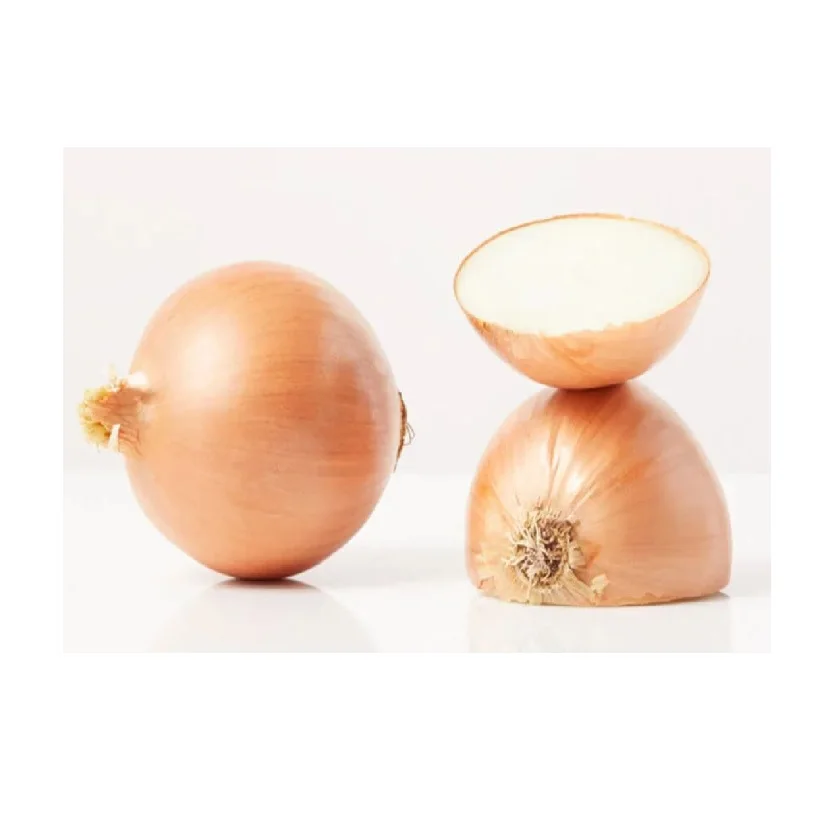 High on Demand Fresh Organic Onion for Food Ingredients Available at Wholesale Price