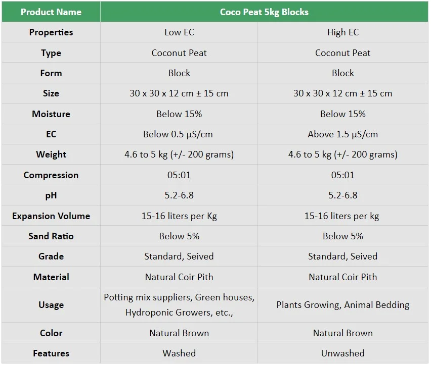 paste-pic-dp_uuid_88h0r