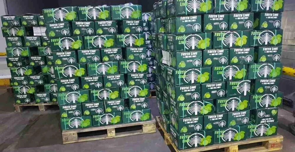 Свежий лайм без семян вьетнамское производство высокое качество Лучшая