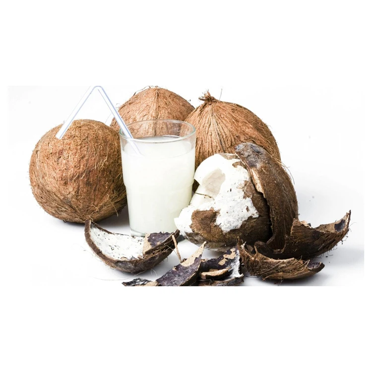 Freeze Dried Durian with Sticky Rice on Coconut Milk (30g) Delicious Snack Premium Grade from Thailand