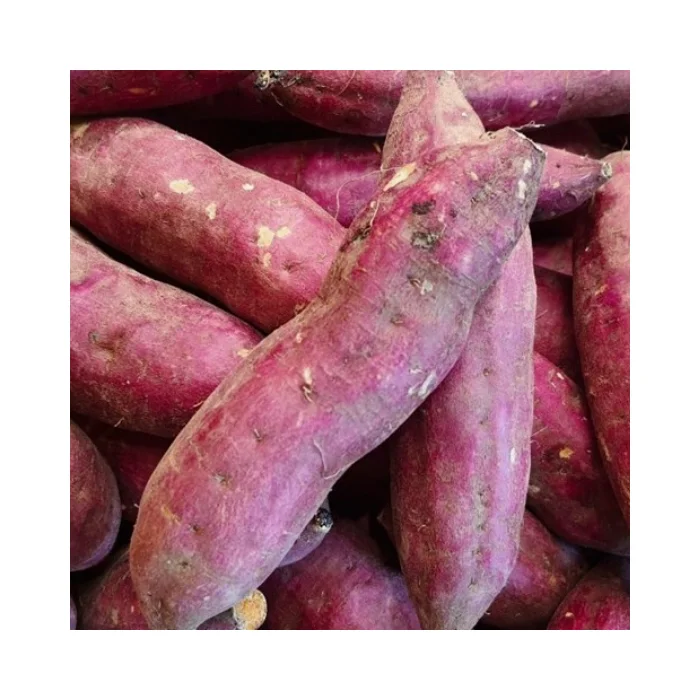 Best Price Organic Fresh Sweet Potato - High-Quality, Export Standard, Ideal for Cooking, Bulk Sale, Ready for Export