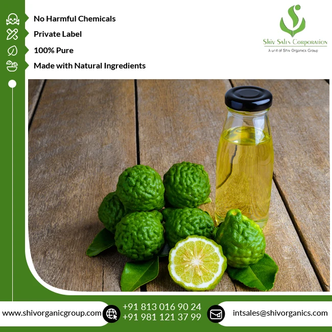 Best Quality Top Selling 100% Natural & Pure Bergamot Essential Oil for Wholesale Buyers