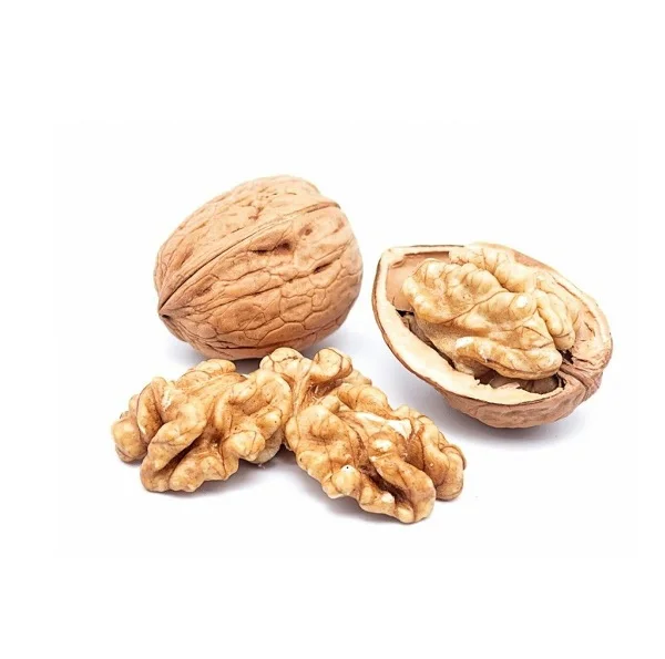 Cheap Walnuts Available for Sale Great for Healthy Snacks and Recipes High Quality Bulk Orders Welcome Today