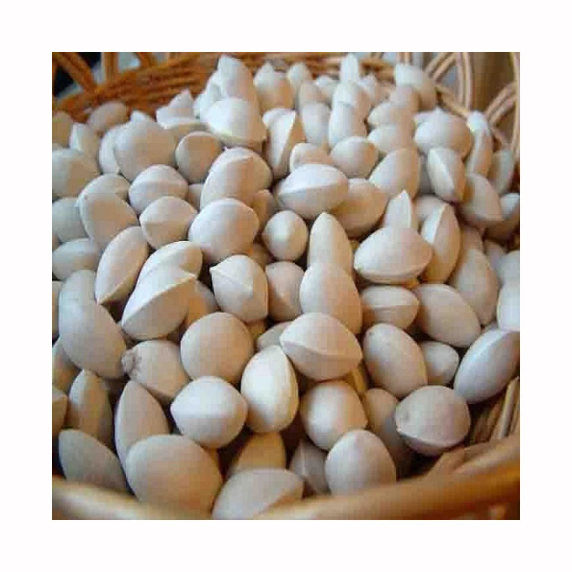 Selling Ginkgo Nuts Fresh Raw Ginkgo Nuts Medical BULK Style Packaging Color Material Natural half opened sales
